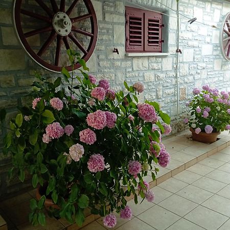 Apartman Sunce Umag Bagian luar foto
