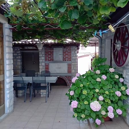 Apartman Sunce Umag Bagian luar foto