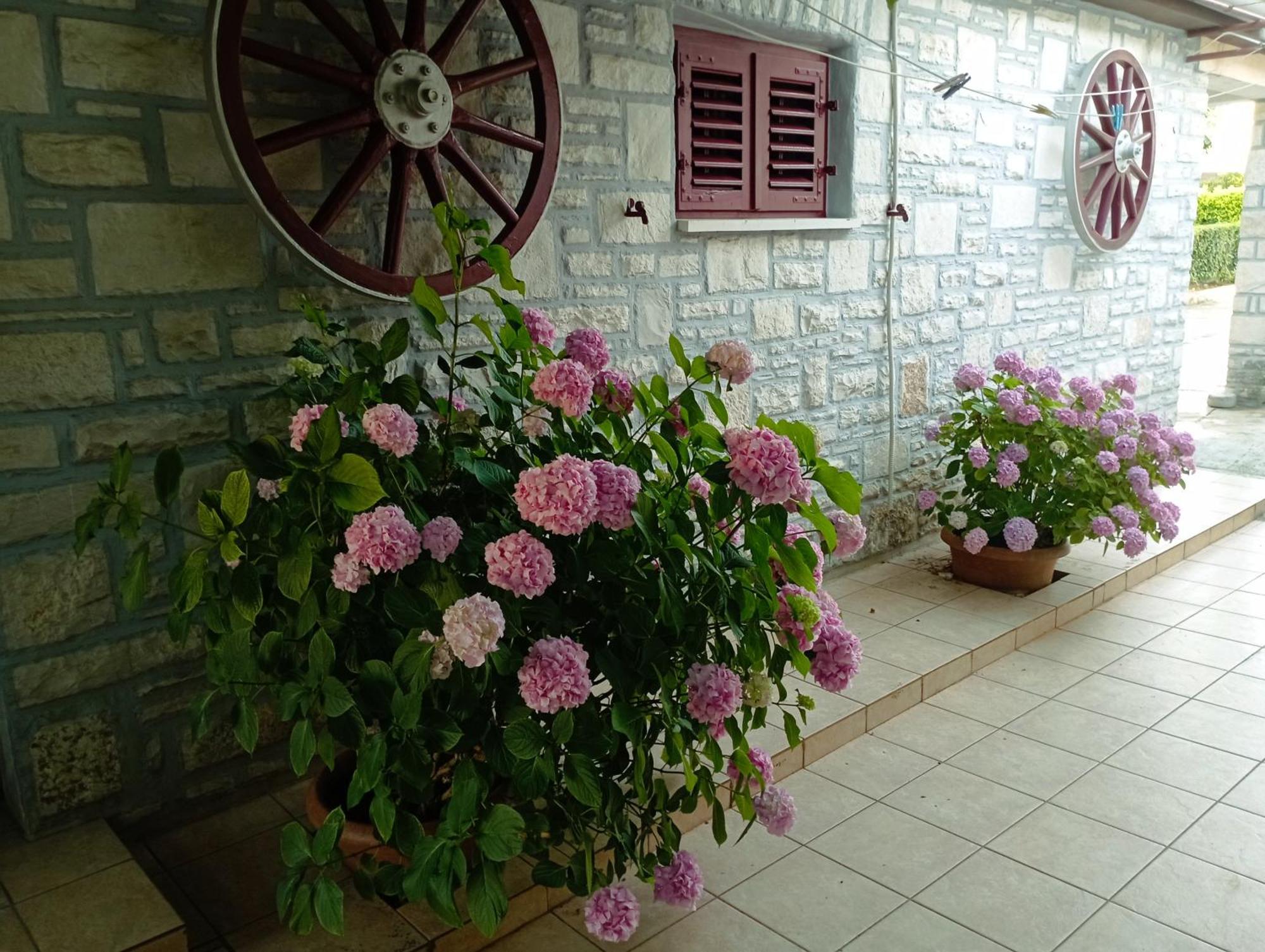 Apartman Sunce Umag Bagian luar foto
