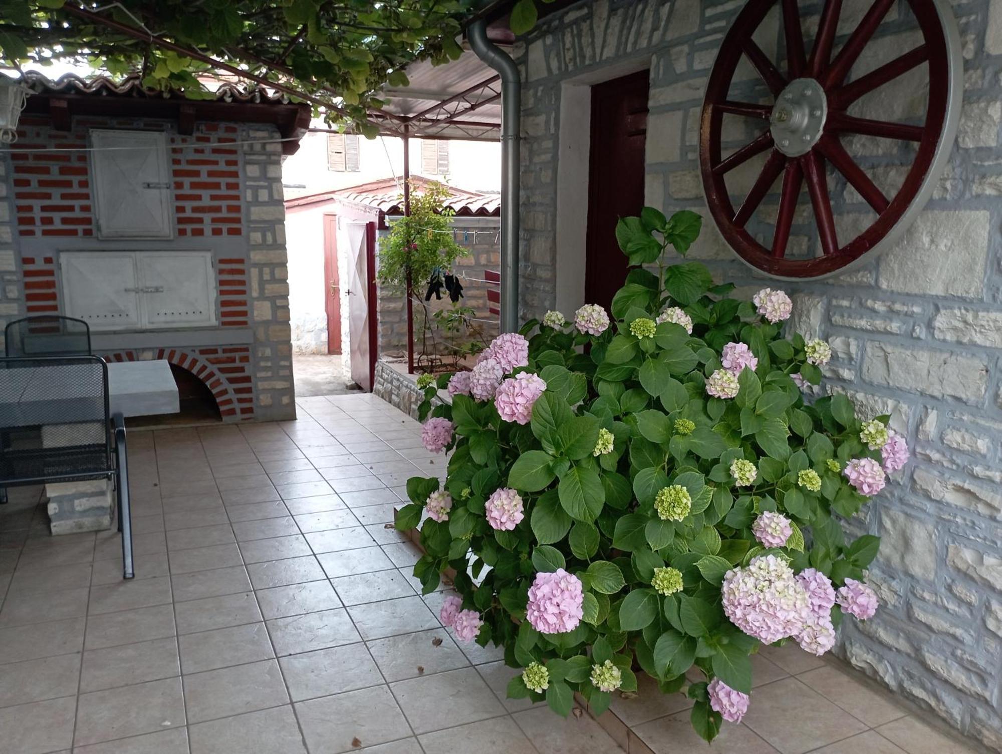 Apartman Sunce Umag Bagian luar foto